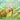Classifying Animals into Vertebrates and Invertebrates - Animal Book for 8 Year Olds Children's Animal Books