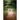 Trespass