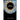 Model Organism