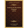 Anatomy Of The Indian Elephant (1878)