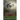 The Gift