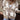 7b1514bf-e0ab-42c7-b9db-894d5181abb3-Max