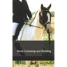 Horse Grooming and Braiding