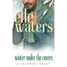Winter Under the Covers: A Small Town MM Secret Relationship Romance