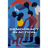 Democracy in Action: Collective Problem Solving in Citizens' Governance Spaces