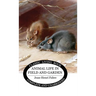 Animal Life in Field and Garden