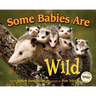 Some Babies Are Wild