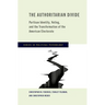 The Authoritarian Divide: Partisan Identity, Voting, and the Transformation of the American Electorate