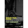Industrial Ruins: Space, Aesthetics and Materiality