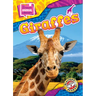 Giraffes