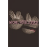 The Kidnapping of Michel Houellebecq: The Novelization