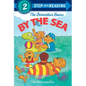 Berenstain Bears by the Sea