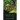 The Legend Is Born: The Legends of Lainjin, Book Three