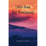 Little Book, Big Testimony: How Vulnerability led to Victory