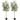 6 Feet Artificial Olive Tree in Cement Pot-2 Pieces