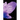 The Last Echo