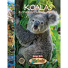 Koalas and Other Australian Animals