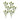 Green Thistle Floral Spray (Set of 6)