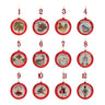 Twelve Days of Christmas Ornament (Set of 12)