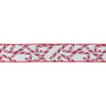Wired Candy Cane Ribbon (Set of 2)