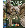 Owls