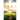Before His Throne: 365 Days Of Inspirational Prayers, Bringing You Closer To God.