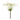 Queen Anne's Lace Stem (Set of 2)