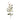 Magnolia Floral Spray (Set of 2)