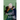 A Song of Spells & Sorrow
