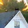 Ruth on the Roof