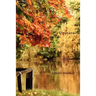Upstate - A North American Journal