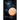 Flowers on Jupiter