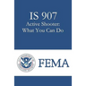 IS 907 Active Shooter: What You Can Do
