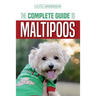 The Complete Guide to Maltipoos: Everything you need to know before getting your Maltipoo dog