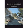 Elegy in a Puddle