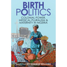 Birth Politics: Colonial Power, Medical Pluralism, and Maternity in Nigeria