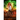 Virgo Incognito: A Fated Mates Superhero Saga