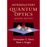 Introductory Quantum Optics