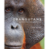 Orangutans: Their History, Natural History and Conservation