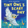Tiny Owl's Scary Day