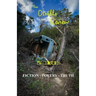 The Ocotillo Review Volume 6.2