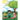 Baby Jo's Adventure