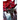 A Deadly Rose