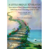 A Little Bridge to Heaven: True stories of love, compassion, courage, and faith from those returning home to God