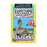 Everything You Should Know About: Pelicans Faster Learning Facts