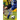 Coaching Positional Soccer: Perfecting Principles and Skills