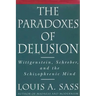 The Paradoxes of Delusion