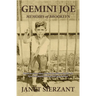 Gemini Joe: Memoirs of Brooklyn