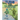 Turq the Turtle: Land and Sea