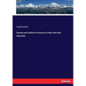 Nevada and California Processes of Silver and Gold Extraction